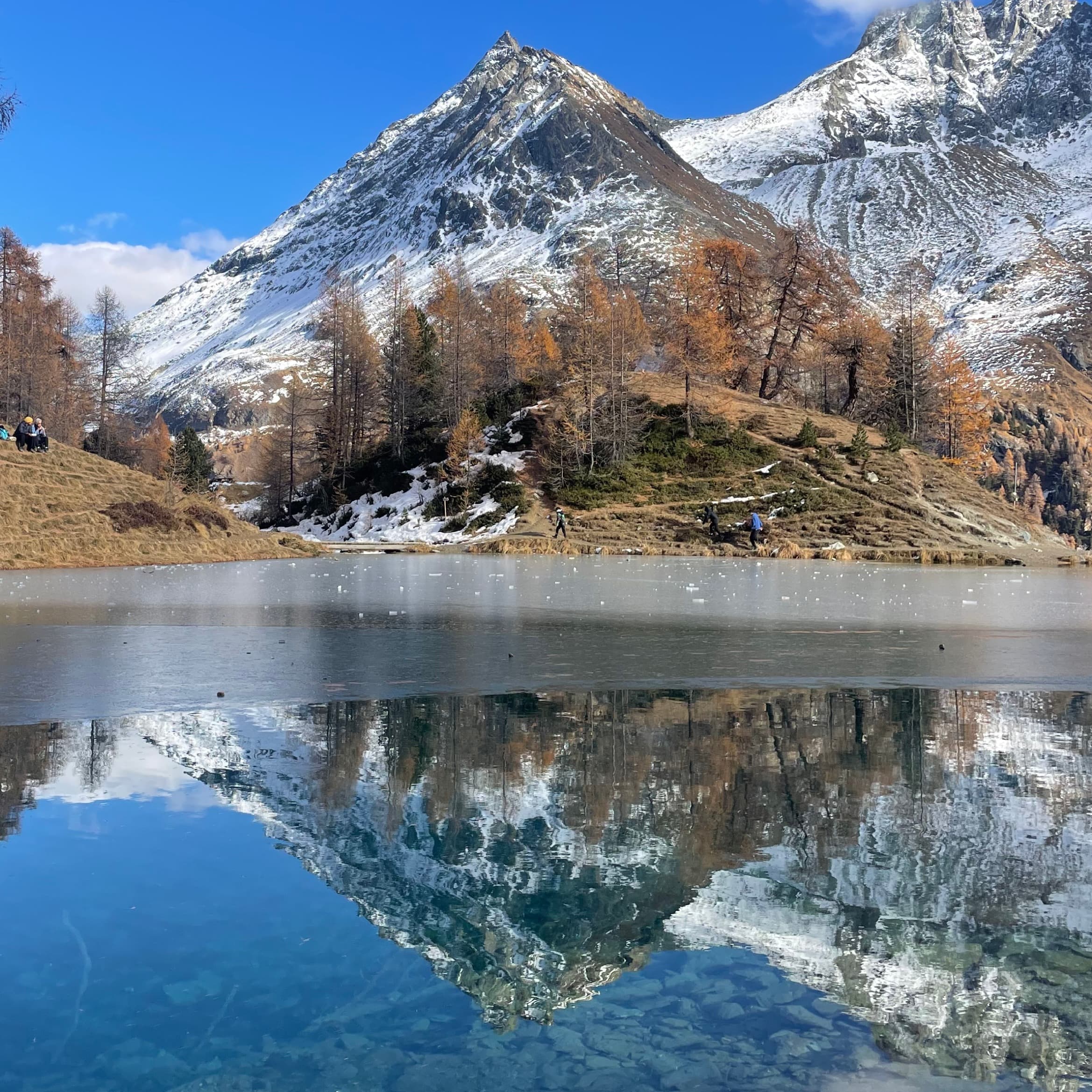 デジタル時代にこそ育てたい、人とのつながりと子どもの国際体験