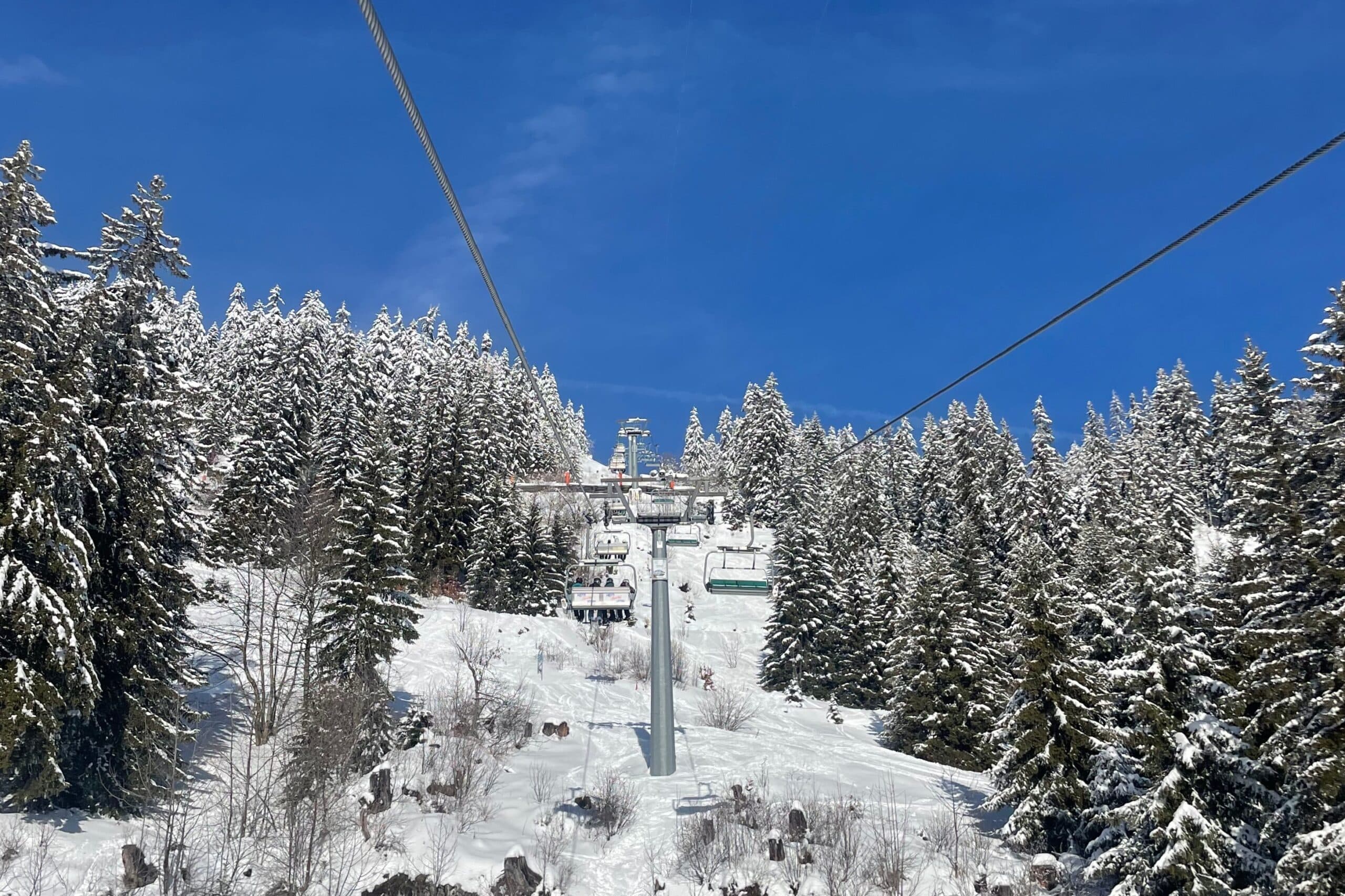 オリンピック日本人選手を見て思うこと――わが子にスイス留学で国際体験をさせたい理由