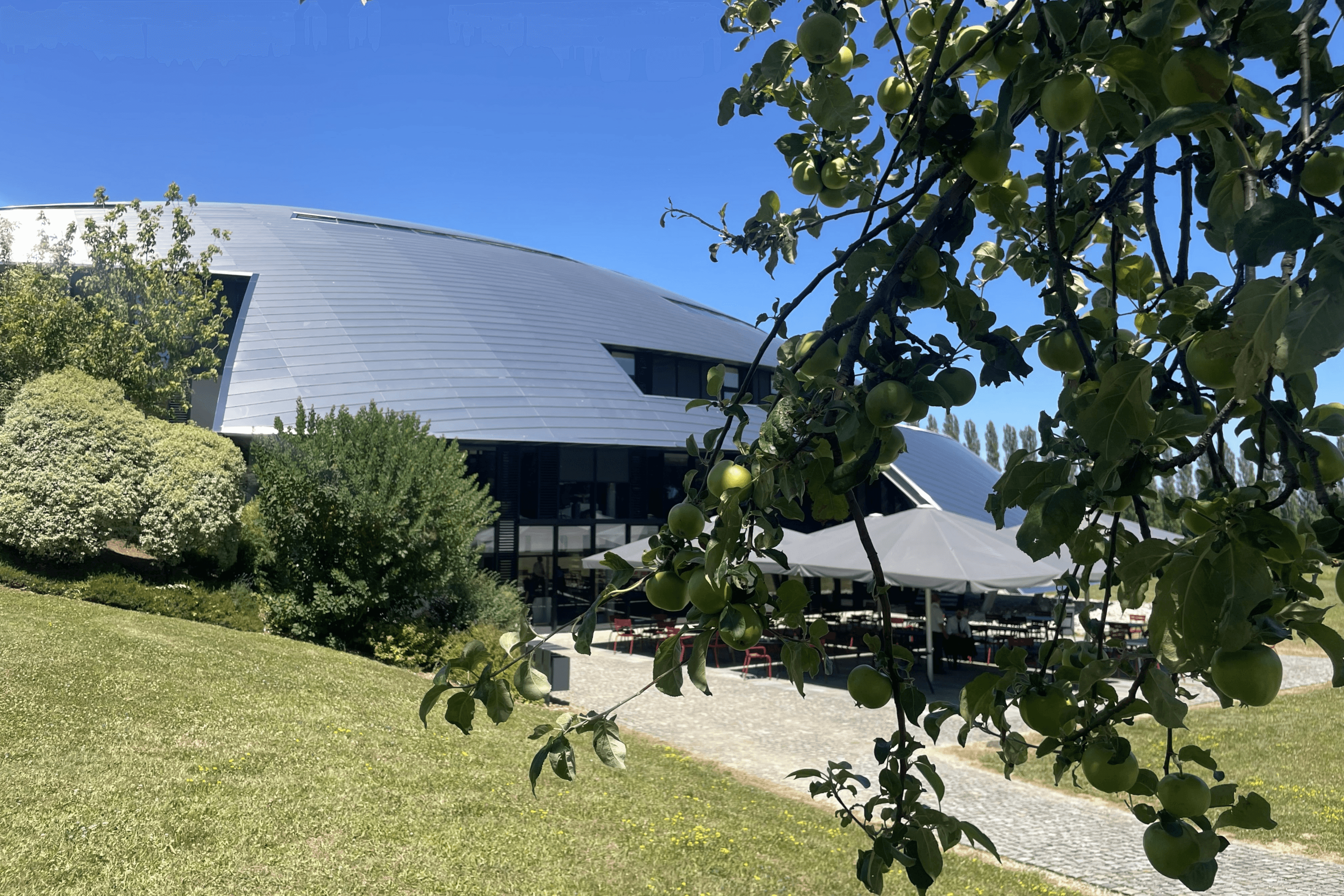 人生を変えるスイス留学体験──ル・ロゼ卒業生の声