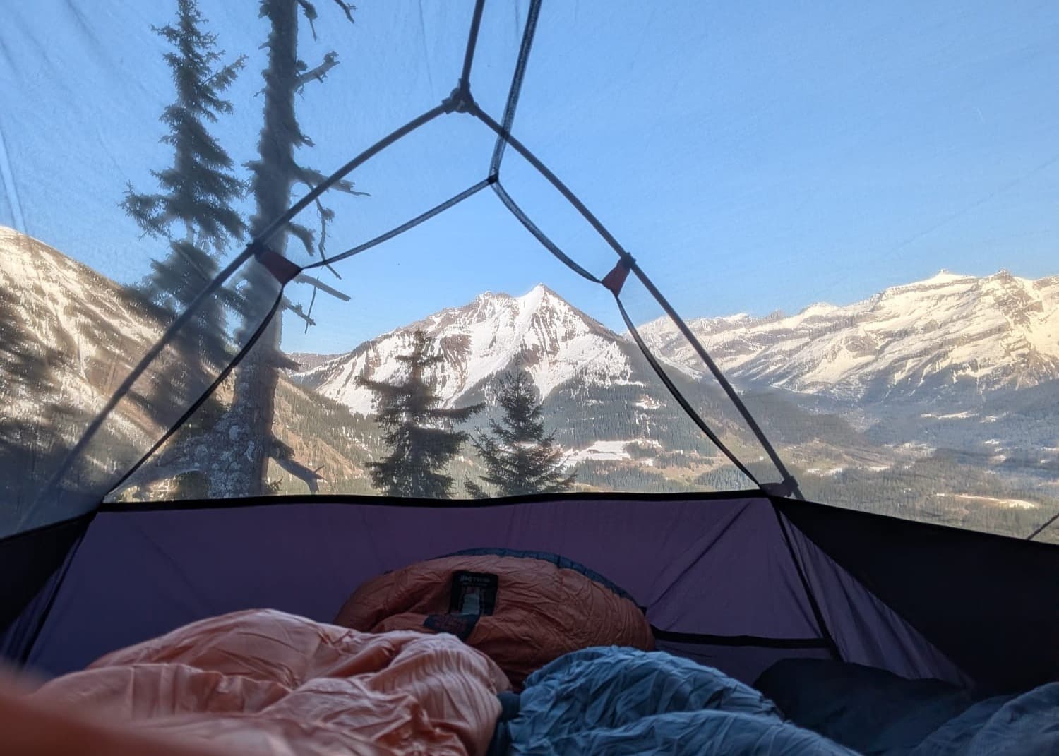 いきなり正規留学は早い？スイス留学の“成功家庭”が通るサマースクールという選択