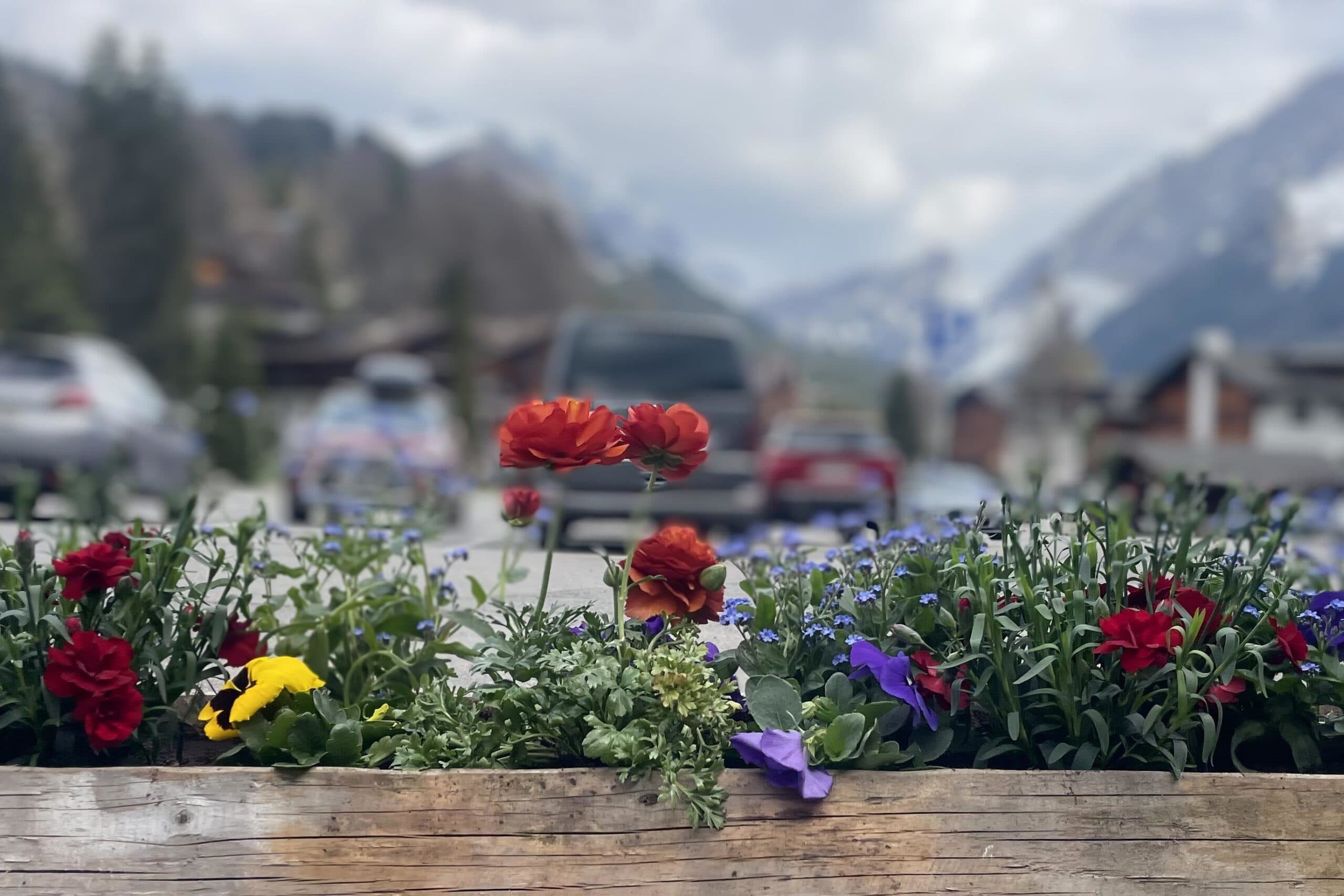 世界のエリートが集まるスイス留学、向いている子の共通点とは？