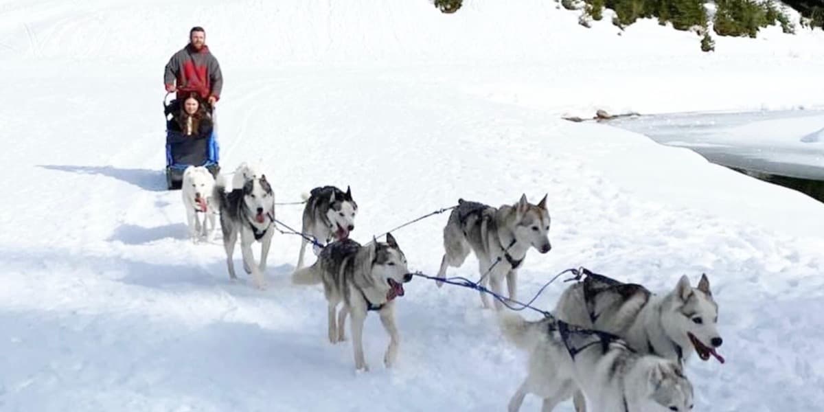 雪原でハスキー犬の引く犬ぞりに乗る子供と引率者