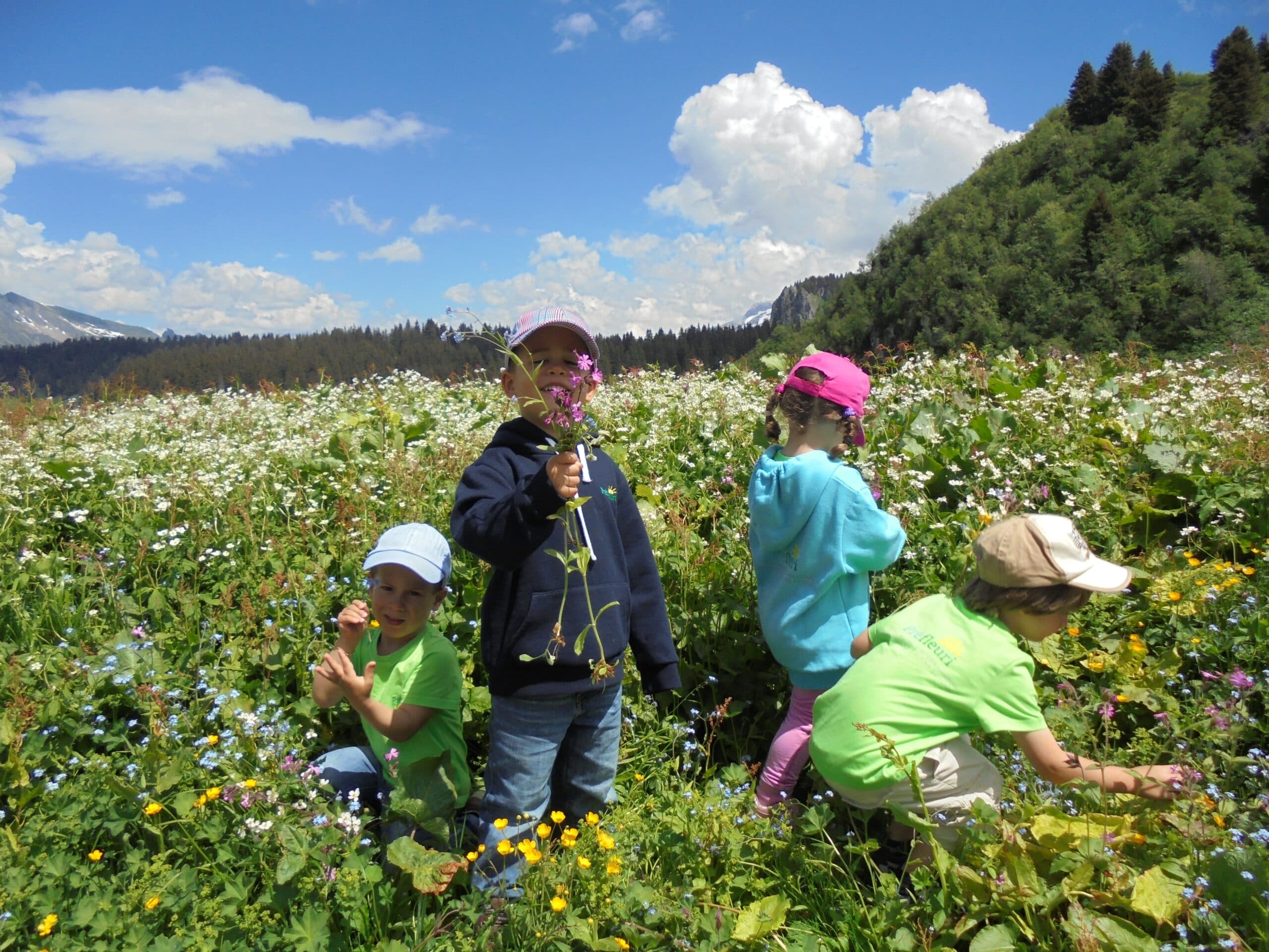 スイスのサマースクール 子供達が2回泣いてしまう涙の理由とは?