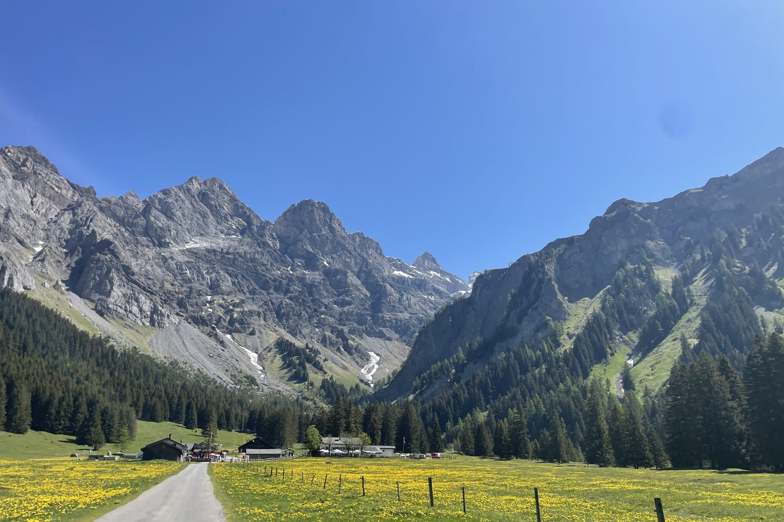 まずは世界を好きになってほしい。スイスサマースクールという最初の一歩